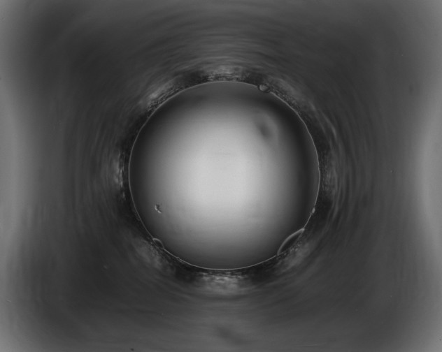 X0000086720282200704131051