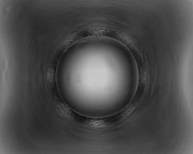 X0000086720283200704131051