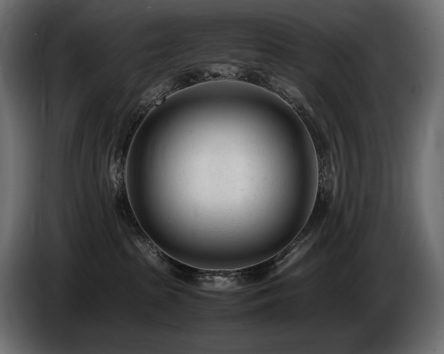 X0000086720285200704131051