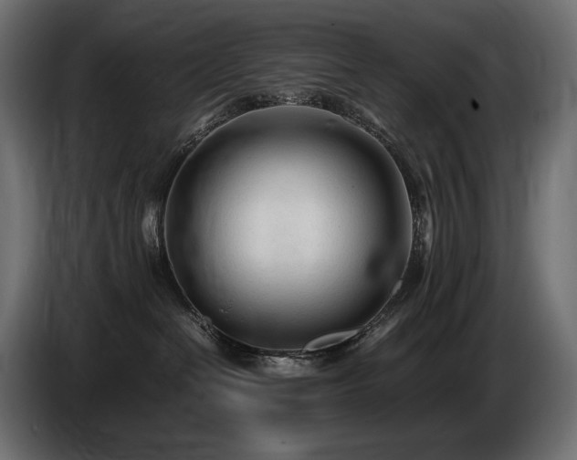 X0000086720286200704131051