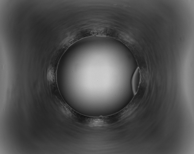 X0000086720287200704131051