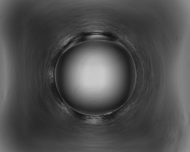 X0000086720288200704131051