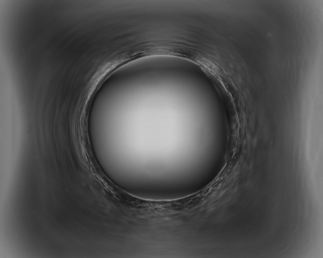 X0000086720289200704131050