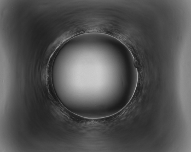 X0000086720290200704131050