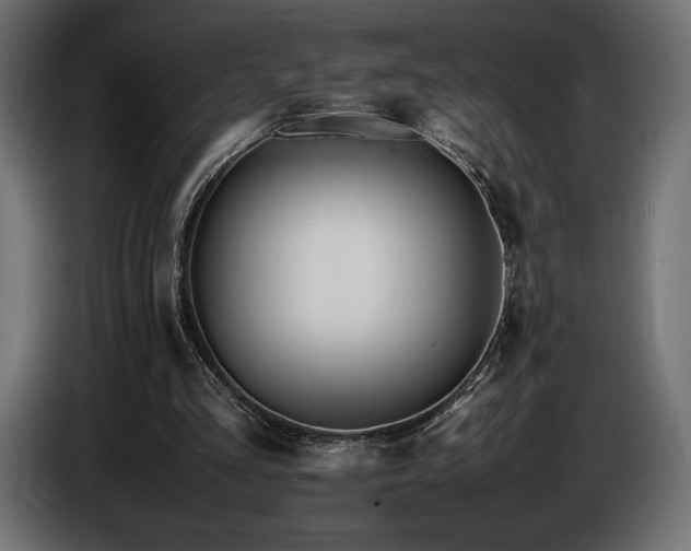 X0000086720293200704131050