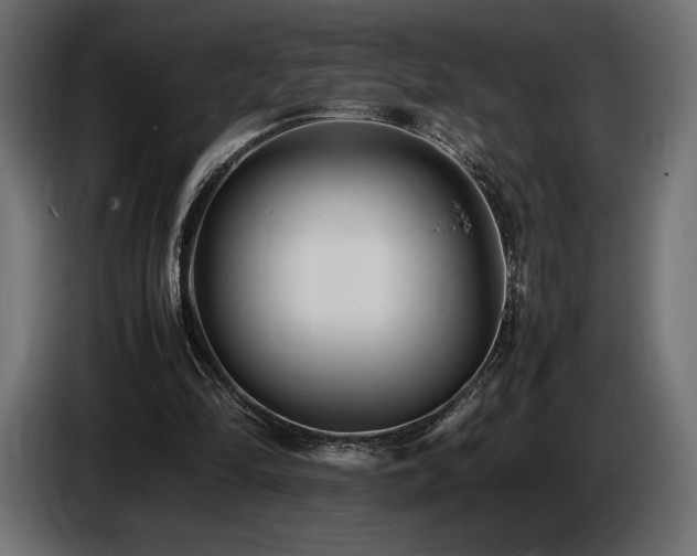 X0000086720294200704131050