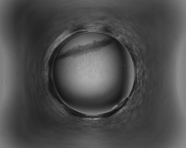 X0000086720295200704131050