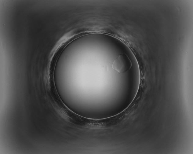 X0000086720296200704131050