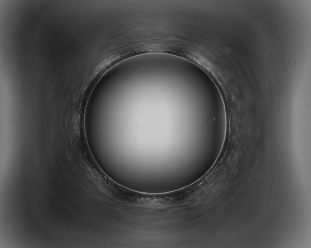 X0000086720297200704131050