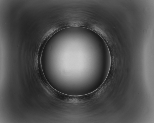 X0000086720298200704131050