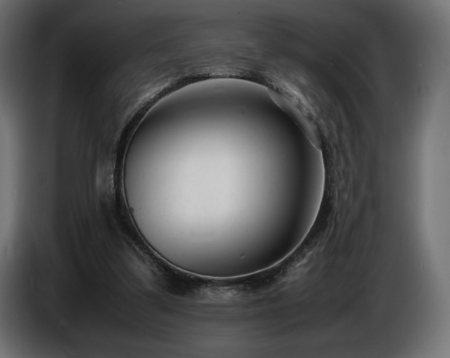 X0000086720299200704131050