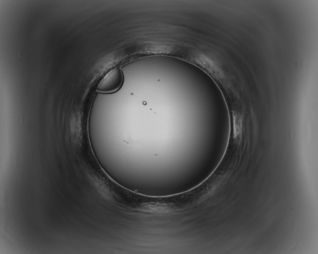 X0000086720300200704131050