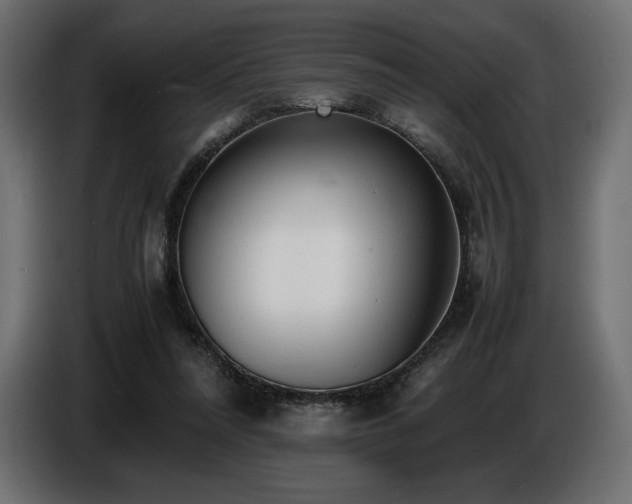 X0000086720304200704131050