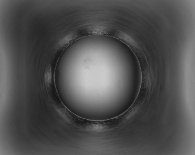 X0000086720310200704131050