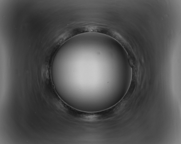 X0000086720313200704131050