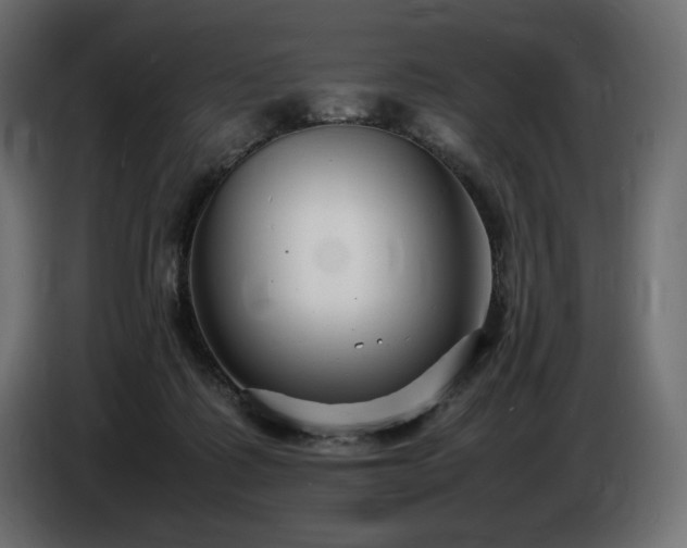 X0000086720315200704131050