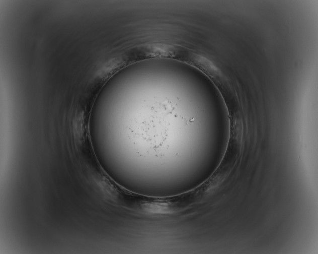 X0000086720318200704131050
