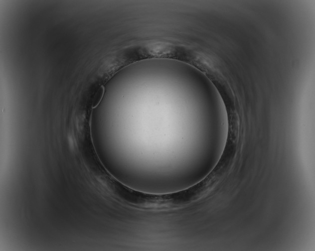 X0000086720319200704131050