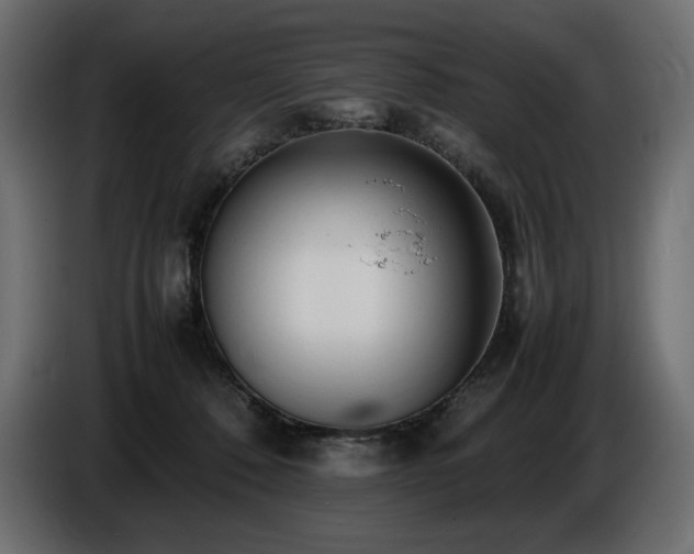 X0000086720320200704131050