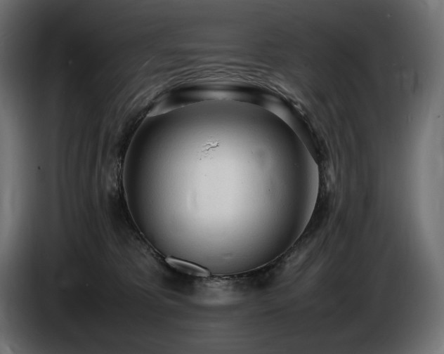 X0000086720325200704131050