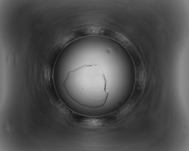 X0000086720326200704131050