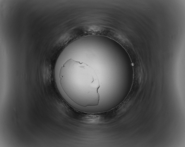 X0000086720328200704131050
