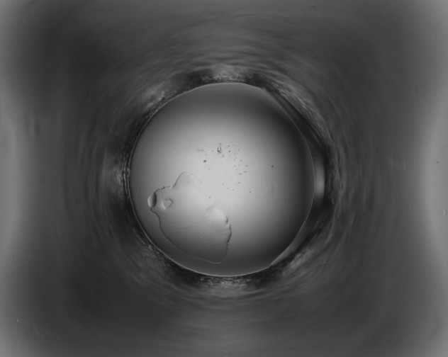 X0000086720329200704131050