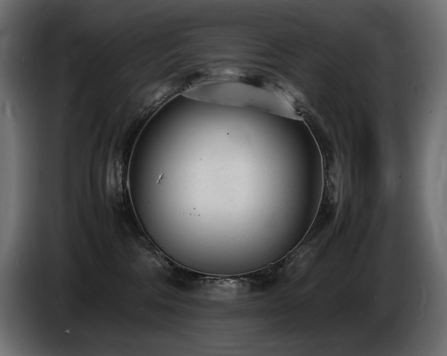 X0000086720330200704131050