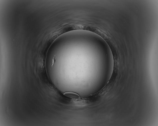 X0000086720331200704131050