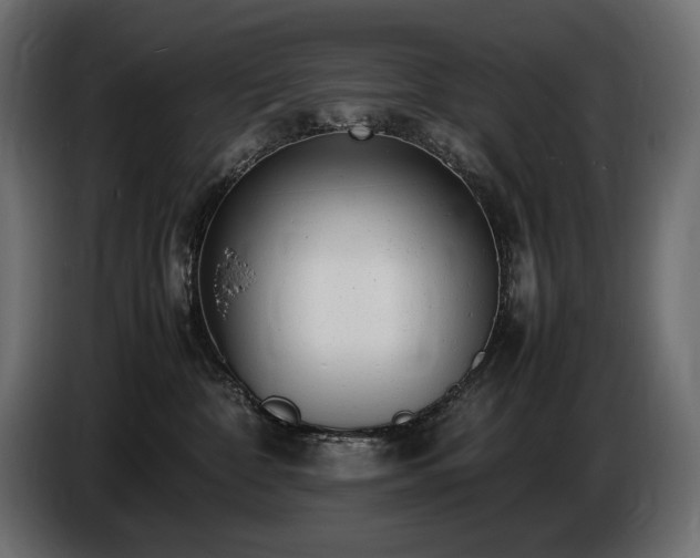 X0000086720332200704131050