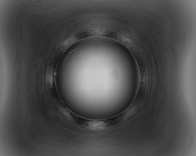 X0000086720334200704131050
