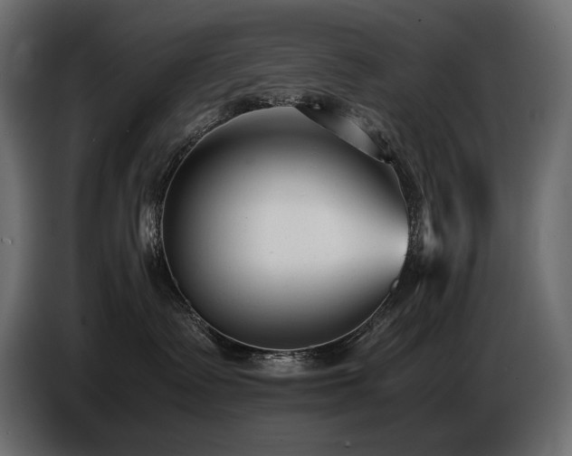 X0000086720335200704131050
