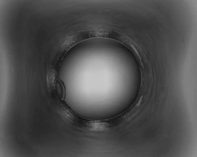 X0000086720336200704131050