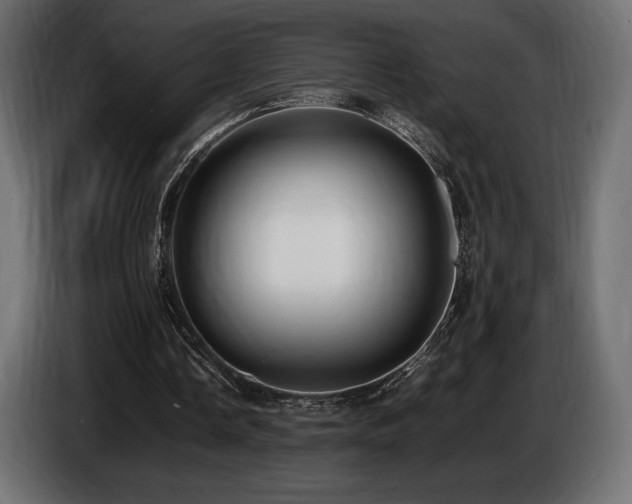 X0000086720338200704131049