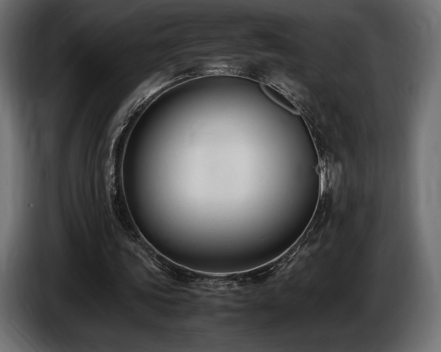 X0000086720339200704131049