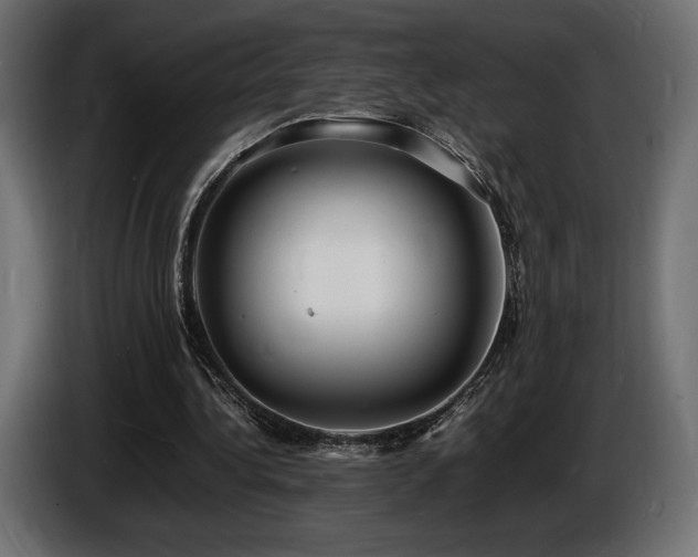 X0000086720340200704131049