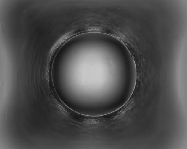 X0000086720341200704131049