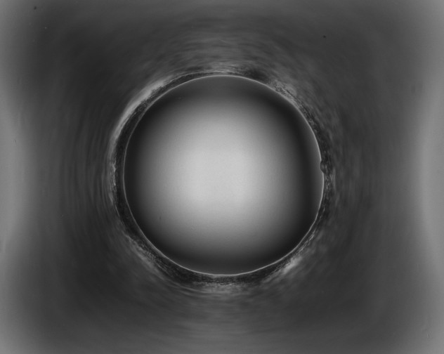 X0000086720342200704131049