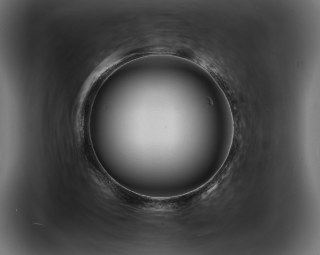 X0000086720343200704131049