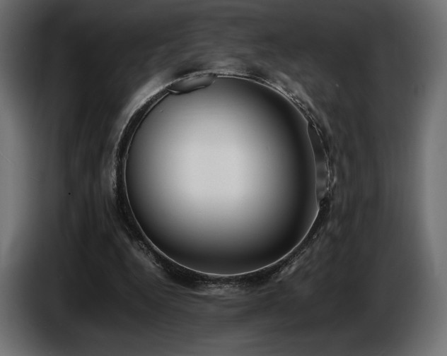 X0000086720344200704131049
