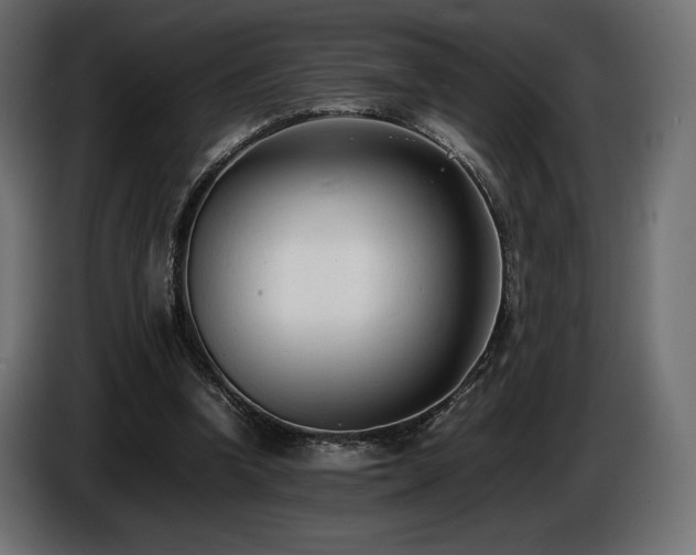 X0000086720346200704131049