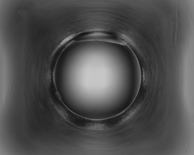 X0000086720348200704131049