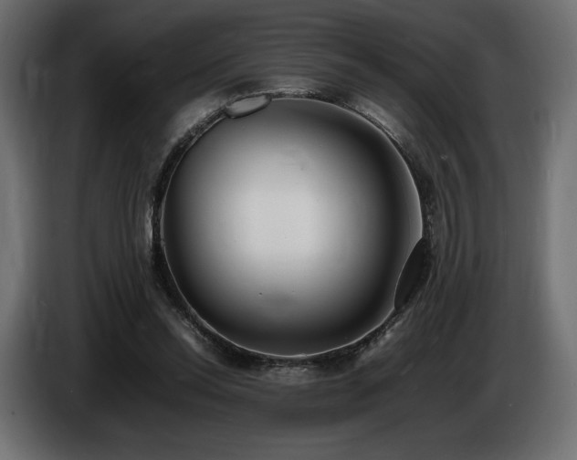 X0000086720350200704131049