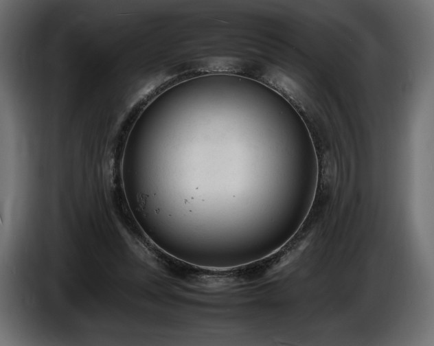 X0000086720351200704131049