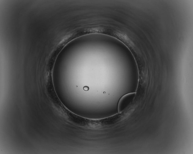 X0000086720355200704131049