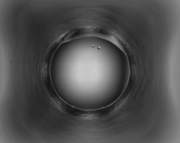 X0000086720356200704131049