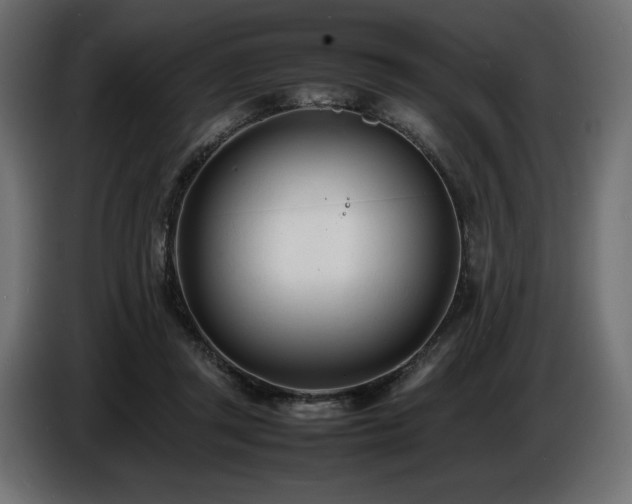 X0000086720357200704131049