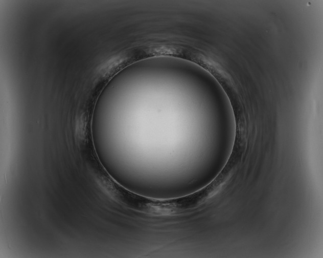 X0000086720359200704131049