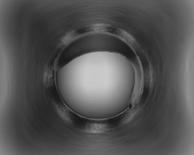 X0000086720360200704131049