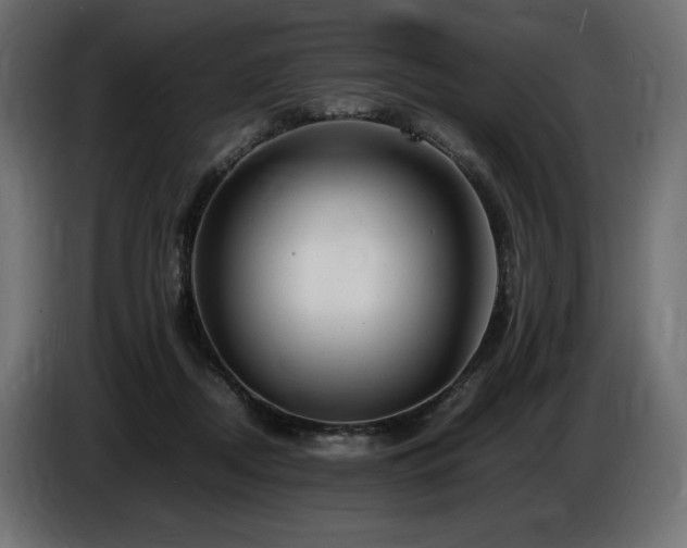 X0000086720362200704131049